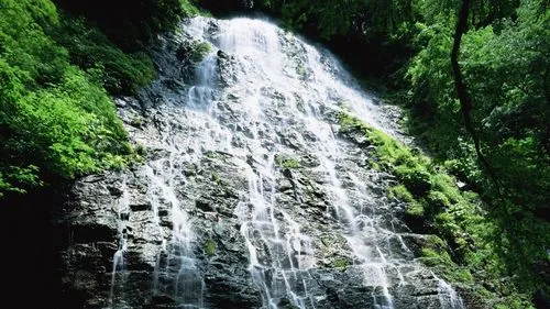 全自动无人化节能